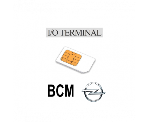 Option IO terminal BCM Opel