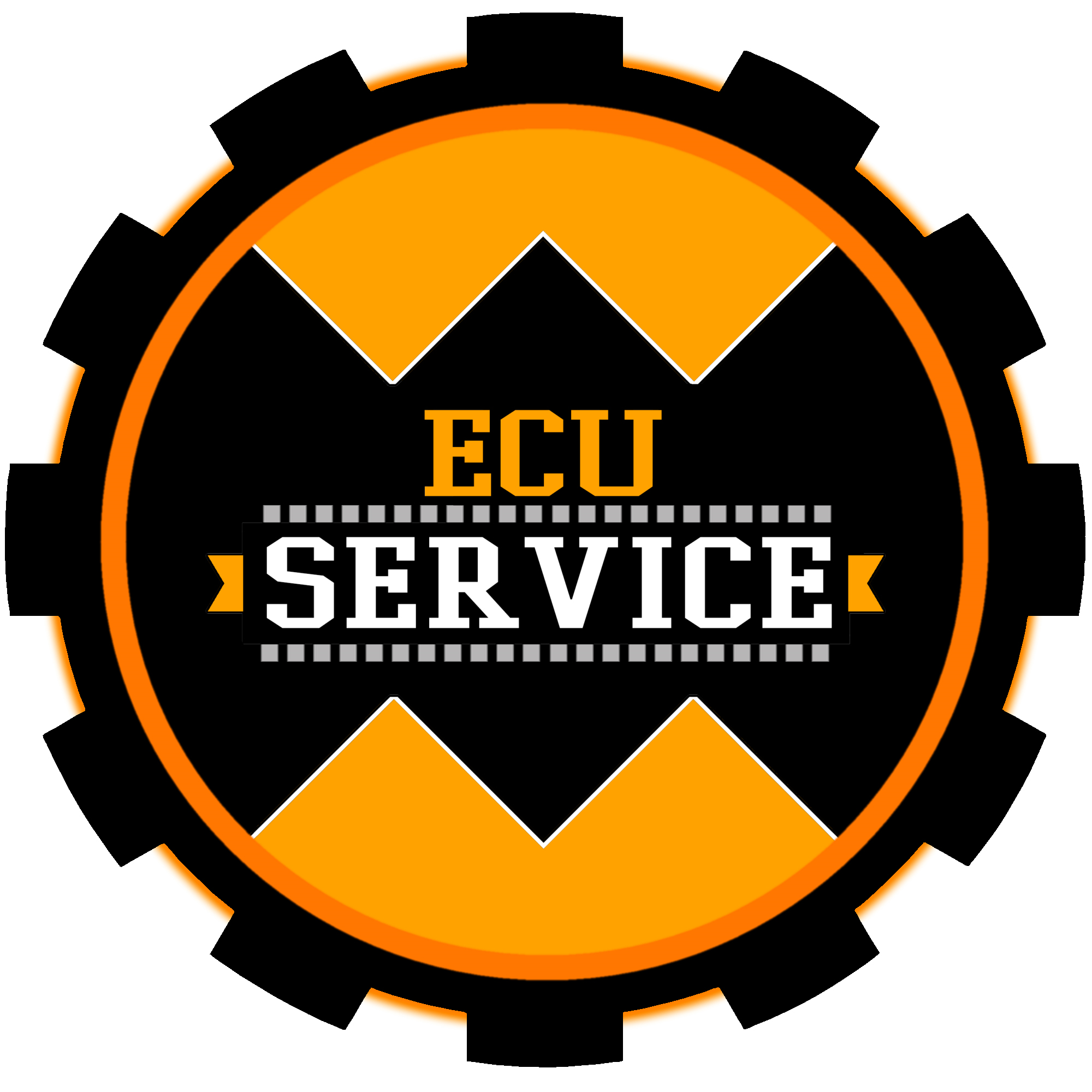 ecu service